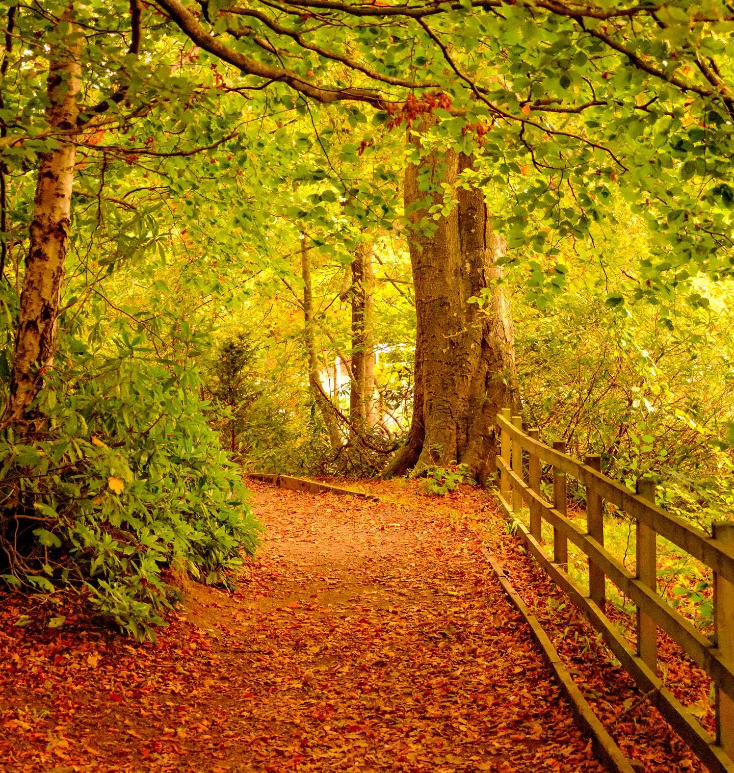 Bolam, Northumberland — Bolam, Northumberland