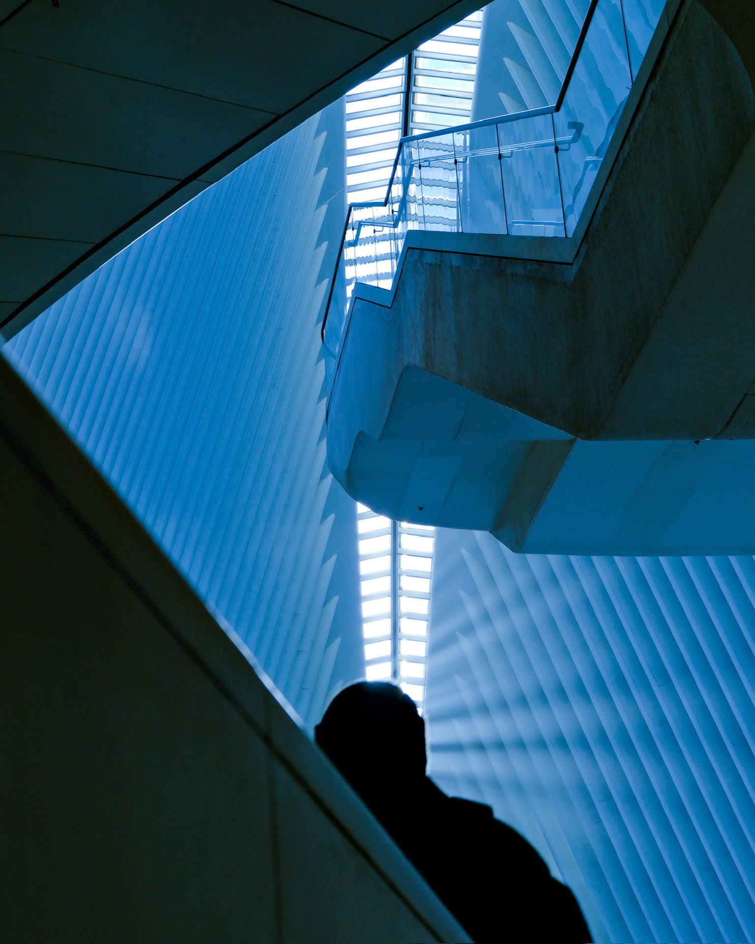 Inside the Oculus — New York City